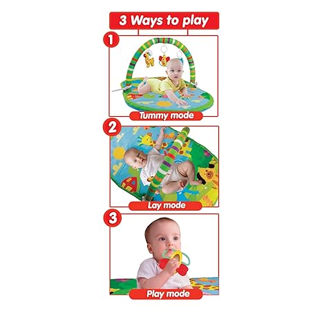 3 In 1 Deluxe Play Gym