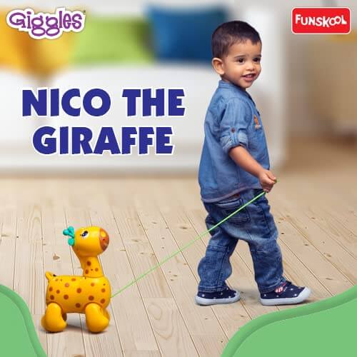 Nico – The Giraffe