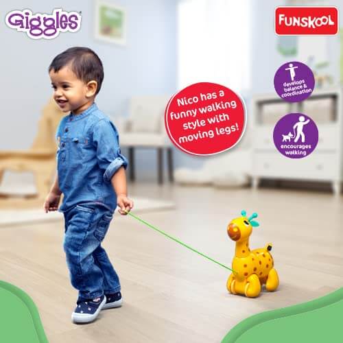 Nico – The Giraffe