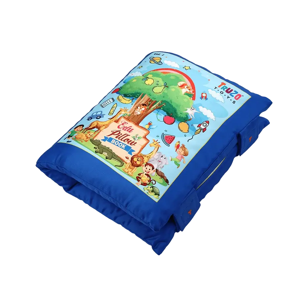 Edu Pillow 1 (Blue)